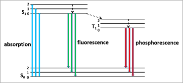 image.png Time Correlated Single Photon Counting,Ultrafast optics,Avalanche Photodiode,Single Photon Counting Module,Time controller,Nanodiode www.simtrum.com
